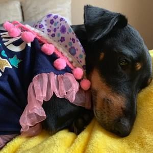 Meet your Posher, Jennifer